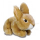 Peluche bébé Lapin - 18 cm