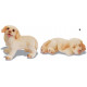 Lot de 2 figurines chiot Labrador