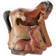 Figurine Famille Chevaux - 12 cm